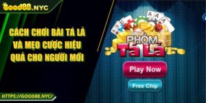 Cách Chơi Bài Tá Lả Và Mẹo Cược Hiệu Quả Cho Người Mới