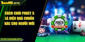 Cách Chơi Poket 5 Lá Hiệu Quả Chuẩn Xác Cho Người Mới